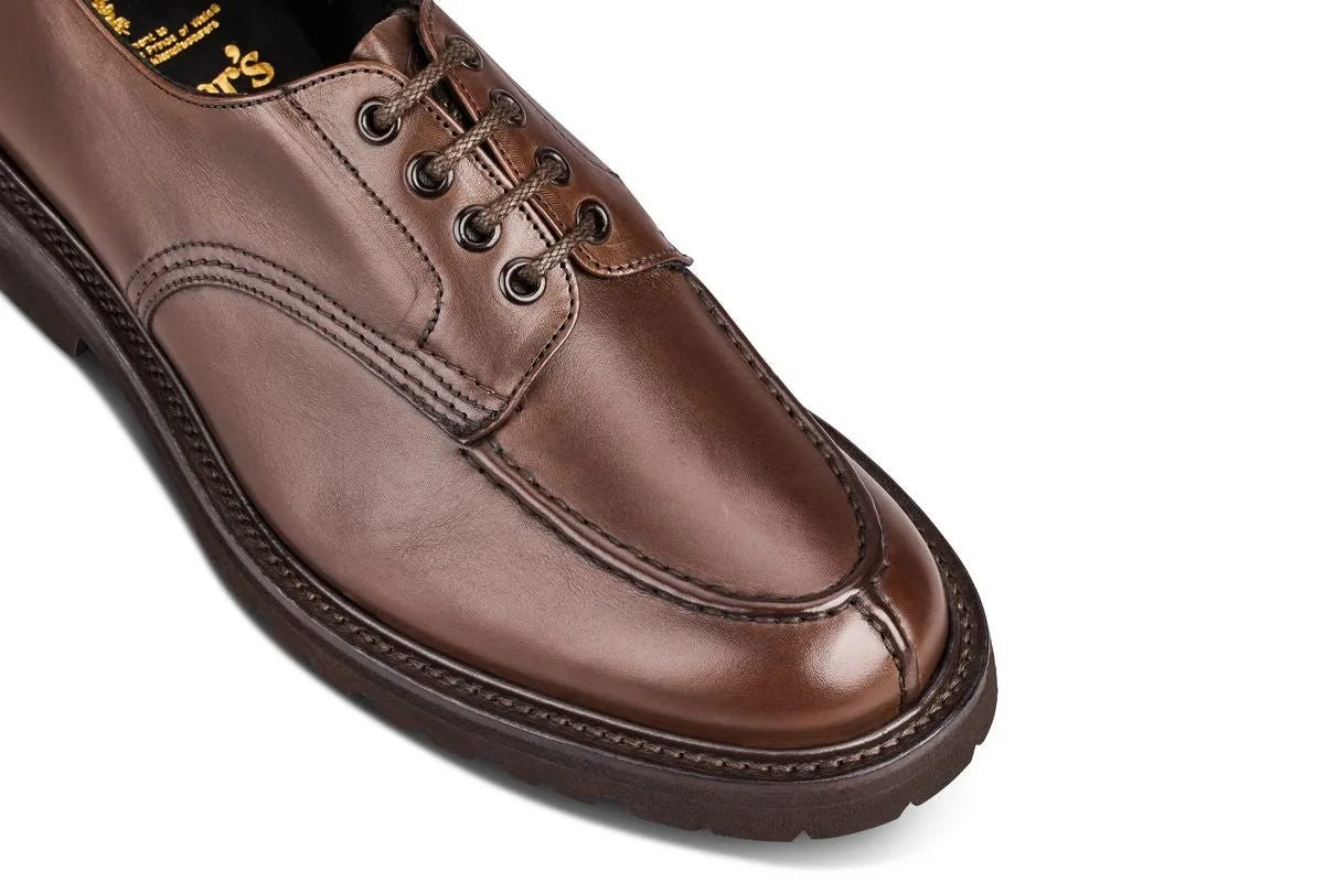 Kilsby Derby Shoe - Lightweight - Olivvia Classic Espresso